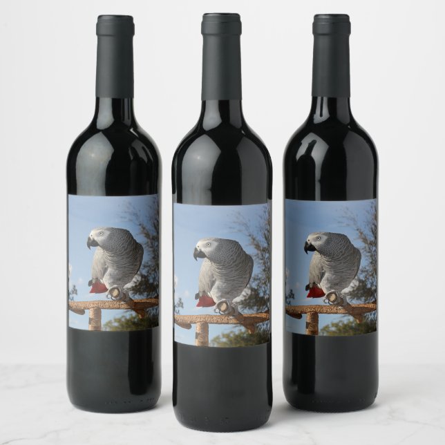 Étiquette Pour Bouteilles De Vin Superbe perroquet gris africain (Bouteilles)