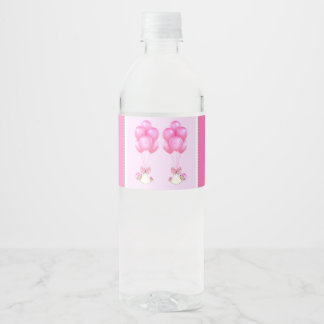 Étiquette Pour Bouteilles D'eau Baby shower fille jumeaux