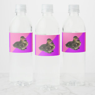 Étiquette Pour Bouteilles D'eau Bébé Canards sur framboise rose et sorbet pourpre