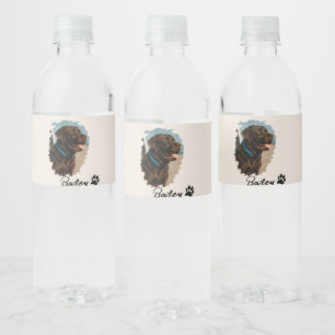 Étiquette Pour Bouteilles D'eau Chocolat mignon Labrador Chien - Bailey Cadeau p