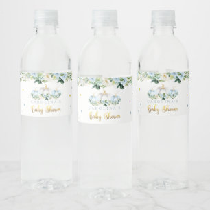 Étiquette Pour Bouteilles D'eau Citrouille Baby shower Boy Fall Blue Citrouille