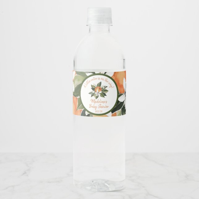 Étiquette Pour Bouteilles D'eau Couleur D'Aquarelle sur le Baby shower du chemin (Devant)