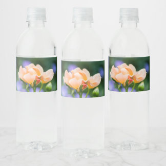 Étiquette Pour Bouteilles D'eau désir
