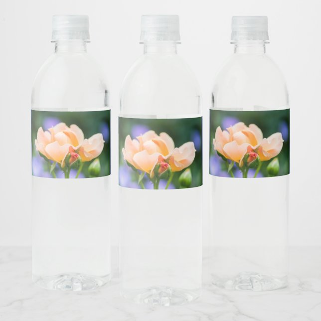 Étiquette Pour Bouteilles D'eau désir (Bouteilles)