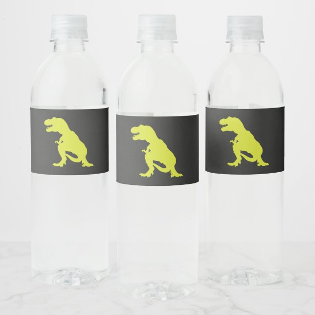 Étiquette Pour Bouteilles D'eau Dinosaur Anniversaire moderne T Rex (Bouteilles)