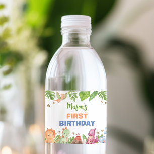 Étiquette Pour Bouteilles D'eau Jungle Dinosaur Boy Birthday Water BotÉtiquette