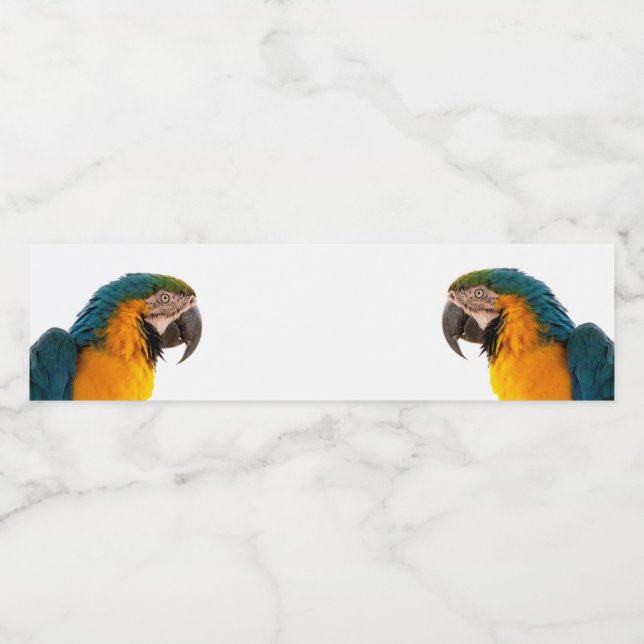 Étiquette Pour Bouteilles D'eau Parrot  (Étiquettes simples)