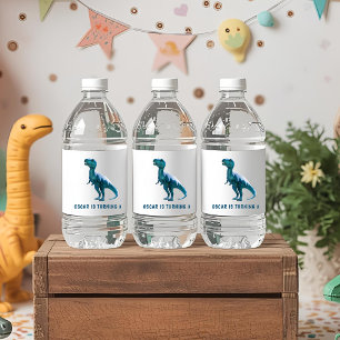 Étiquette Pour Bouteilles D'eau RAWR Sous les lumières Dinosaur Anniversaire d'hiv