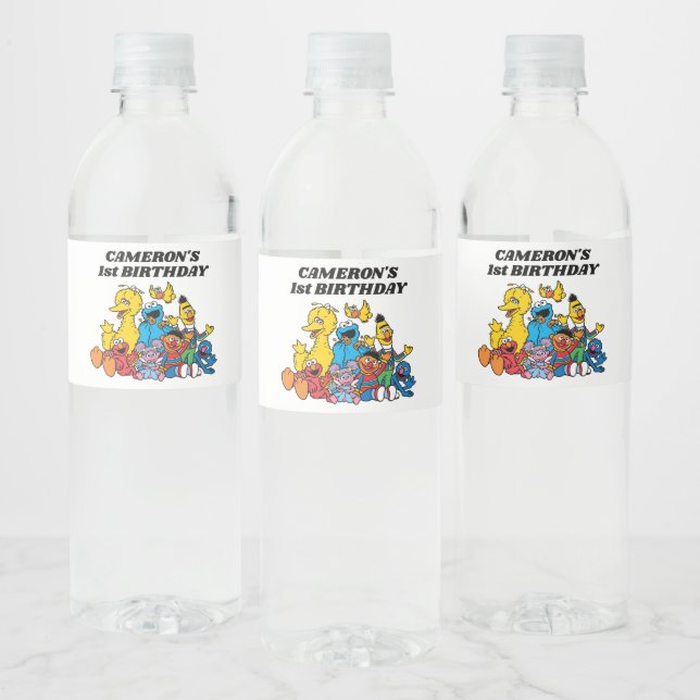 Étiquette Pour Bouteilles D'eau Sesame Street Pals 1er anniversaire (Bouteilles)
