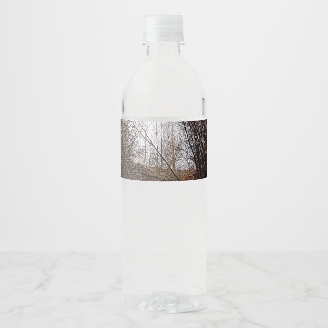 Étiquette Pour Bouteilles D'eau Surcroissance de Bannack en chute libre (Devant)