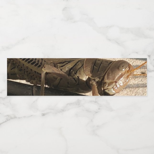 Étiquette Pour Bouteilles D'eau Vert vif  (Étiquettes simples)