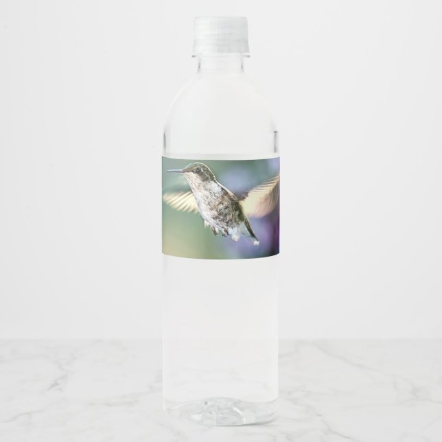 Étiquette Pour Bouteilles D'eau Vol de colibri (Devant)