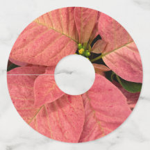 Balises de vin Poinsettia No : 5