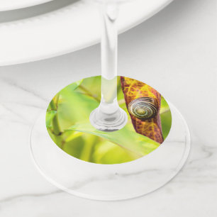 Étiquette Pour Verre De Vin fixation calme