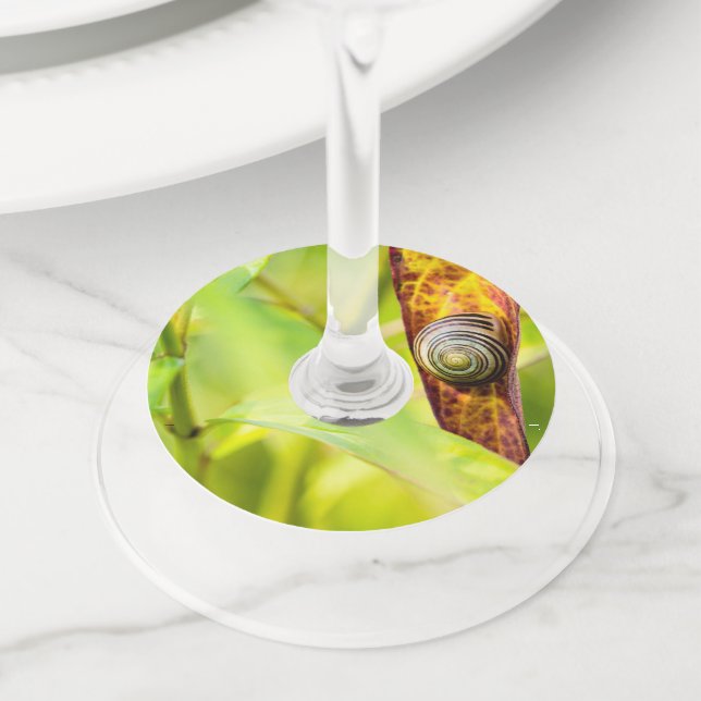 Étiquette Pour Verre De Vin fixation calme (De près)