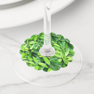 Étiquette Pour Verre De Vin Motif Feuille verdoyant - Nature Botanique