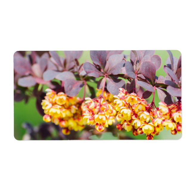 Étiquette Printemps (Devant)