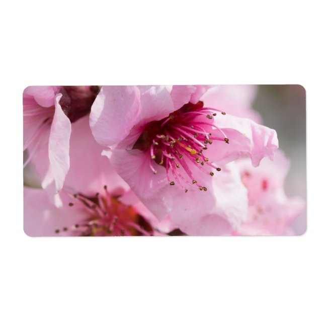 Étiquette Printemps (Devant)