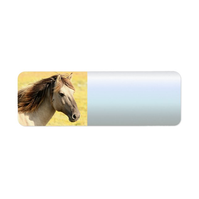 Étiquette Profil du cheval beige (Devant)