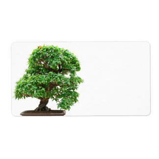 Étiquette Punica Granatum bonsai