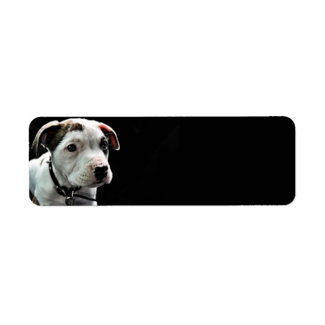 Étiquette Puppy Pit Bull T-Bone (Devant)