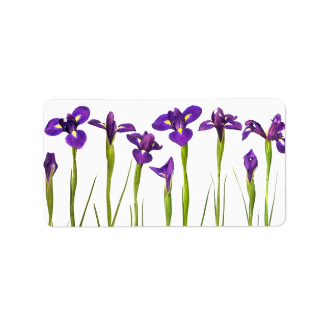 Étiquette Purple Irises - Iris Flower Customisé Modèle (Devant)