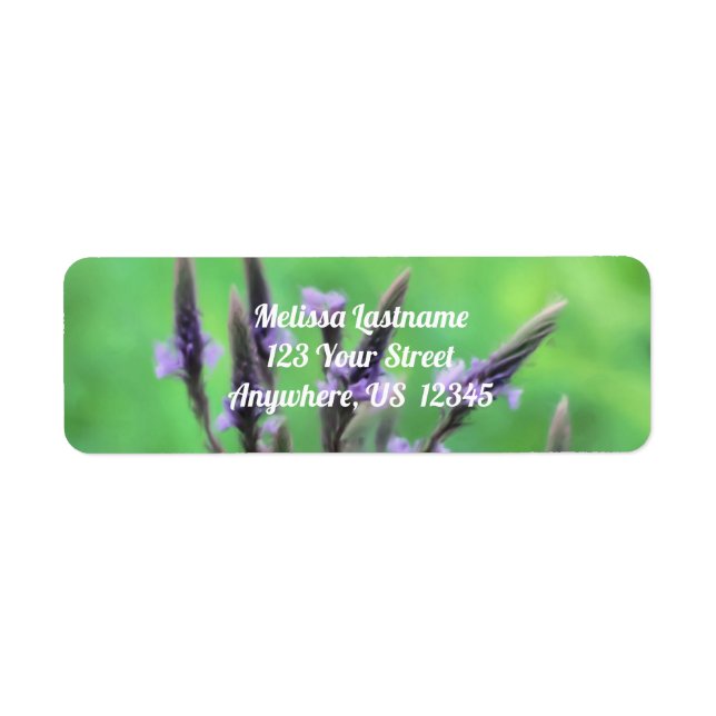 Étiquette Purple Vervain Fleur sauvage Adresse de peinture (Devant)