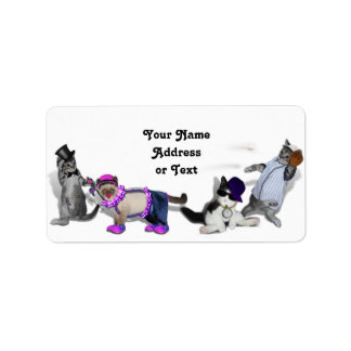 Étiquette Quatre Chatons En Jeu