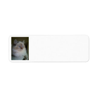 Étiquette Ragdoll Himalayan Chat Retourner l'adresse Étiquet