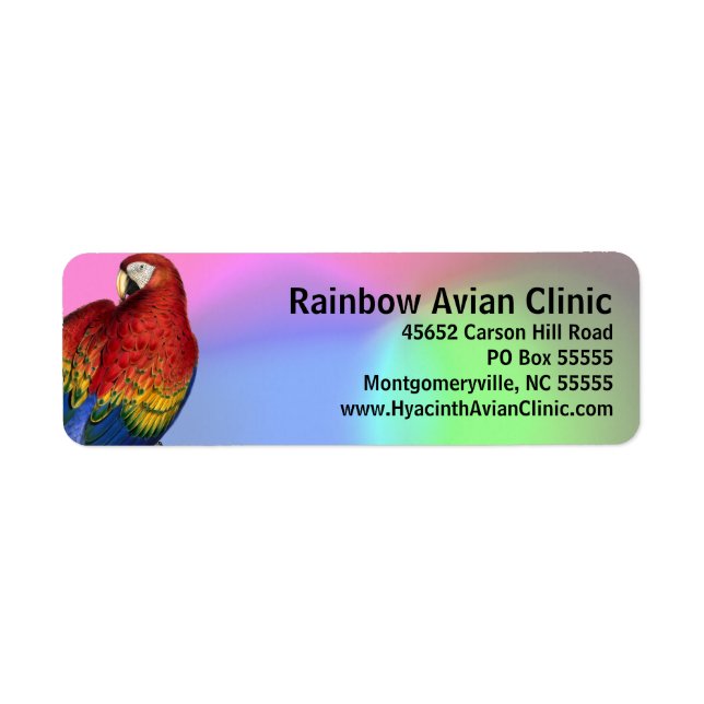 Étiquette Rainbow Macaw avec Arrière - plan coloré (Devant)