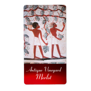 ÉTIQUETTE RÉCOLTE DE VIN ÉGYPTIENNE ANTIQUE