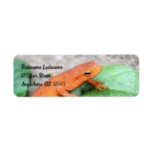 Étiquette Red Eft Orange Salamander Nature #2 Adresse