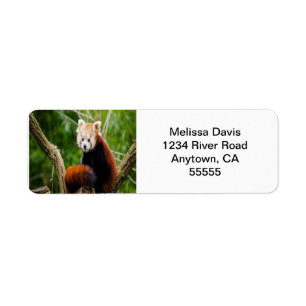 Étiquette Red Panda Address Labels