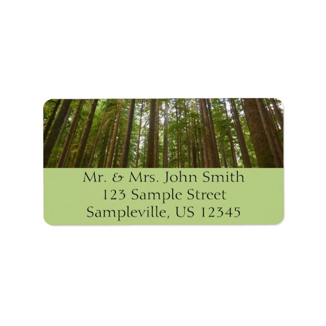 Étiquette Regard sur la forêt ancienne (Devant)