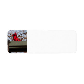 Étiquette return address labels Cardina;