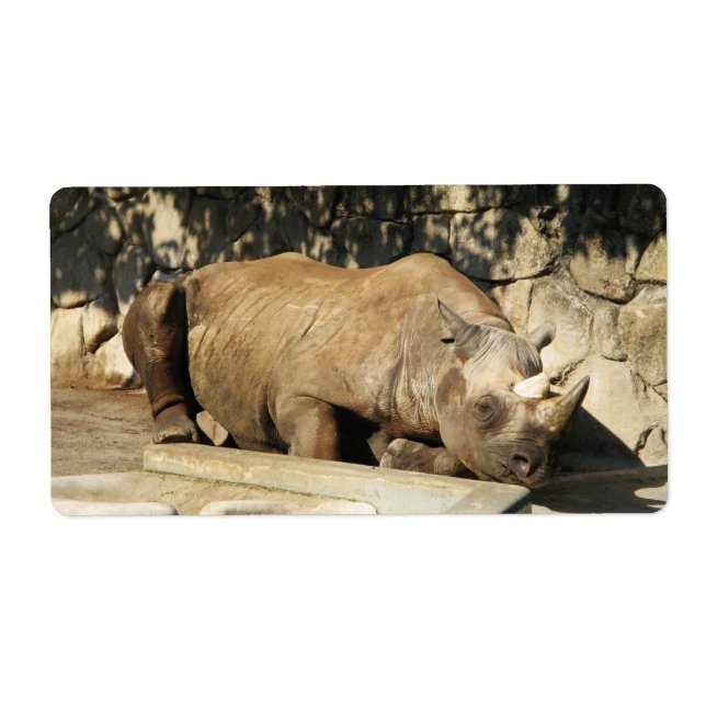 Étiquette Rhino couché (Devant)