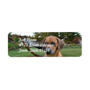 Étiquette Rhodesian mignon Ridgeback