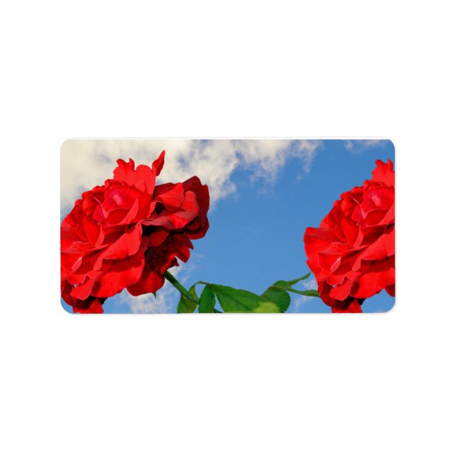 Étiquette Rosa Don Juan avec le ciel bleu (Devant)