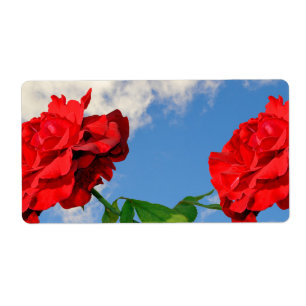 Étiquette Rosa Don Juan avec le ciel bleu
