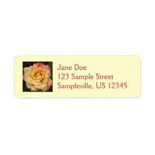 Étiquette Rose Beautiful Pink and Yellow Floral