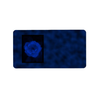 Étiquette Rose bleu. Avec le noir et le bleu profond.