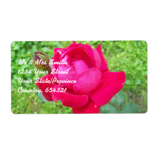 Étiquette Rose dans Bloom