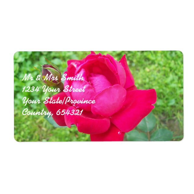 Étiquette Rose dans Bloom (Devant)