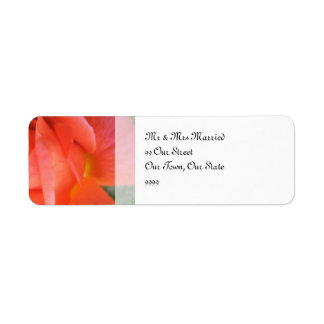 Étiquette Rose de mariage d'été