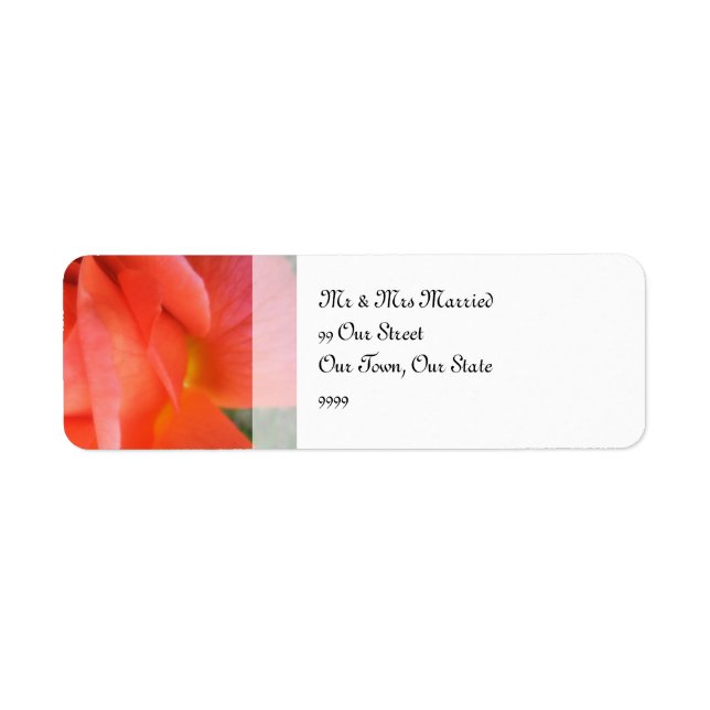 Étiquette Rose de mariage d'été (Devant)