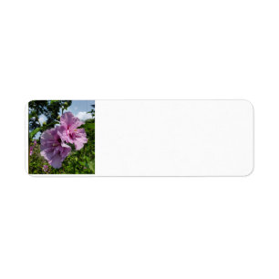 Étiquette Rose de Sharon