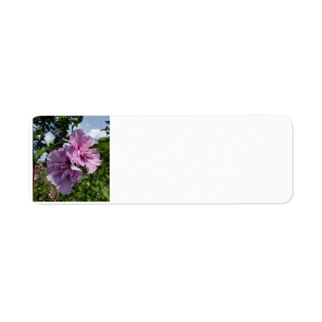 Étiquette Rose de Sharon (Devant)