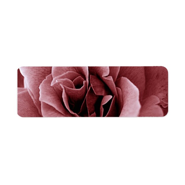 Étiquette Rose Fleur Monochrome de Près (Devant)