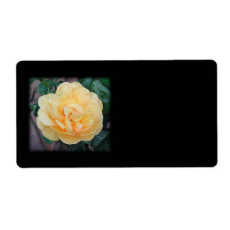 Étiquette Rose jaune, sur arrière - plan noir.
