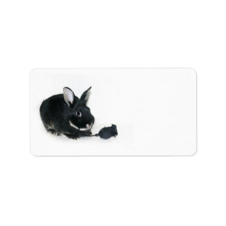 Étiquette Rose lapin noir